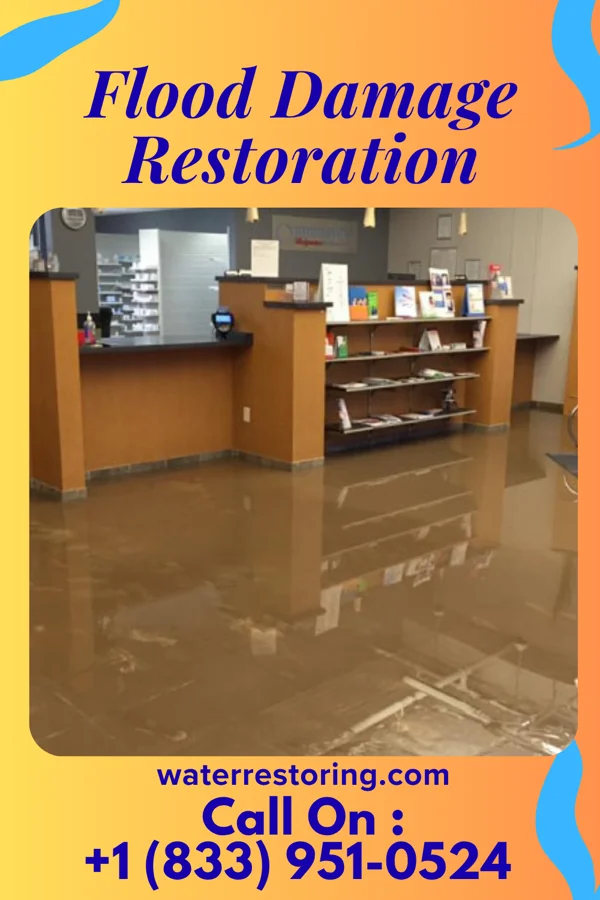 Flood Damage Restoration in Elberta, AL