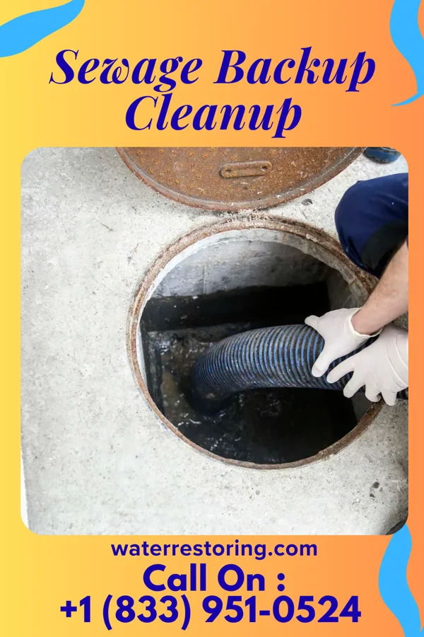 Sewage Backup Cleanup in Elberta, AL