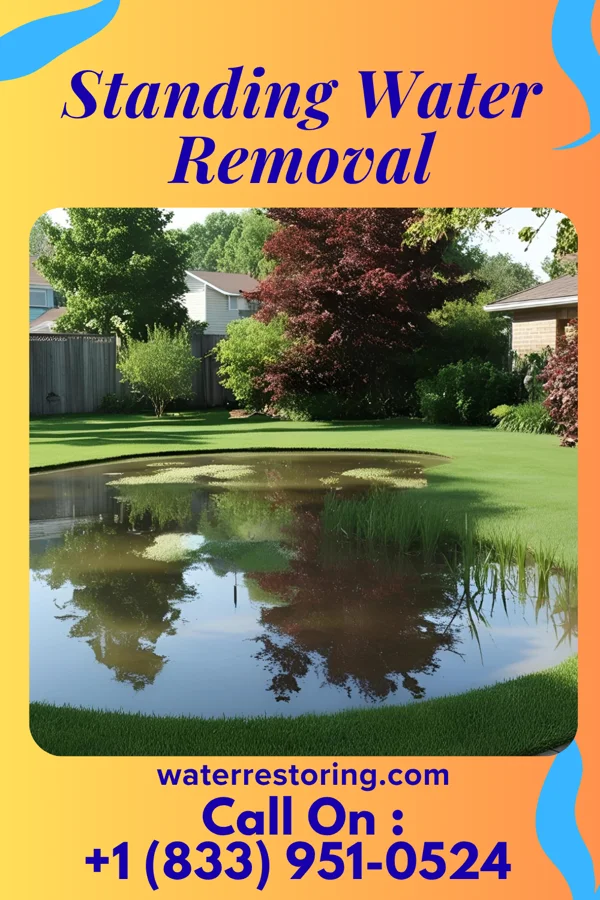 Standing Water Removal in Elberta, AL